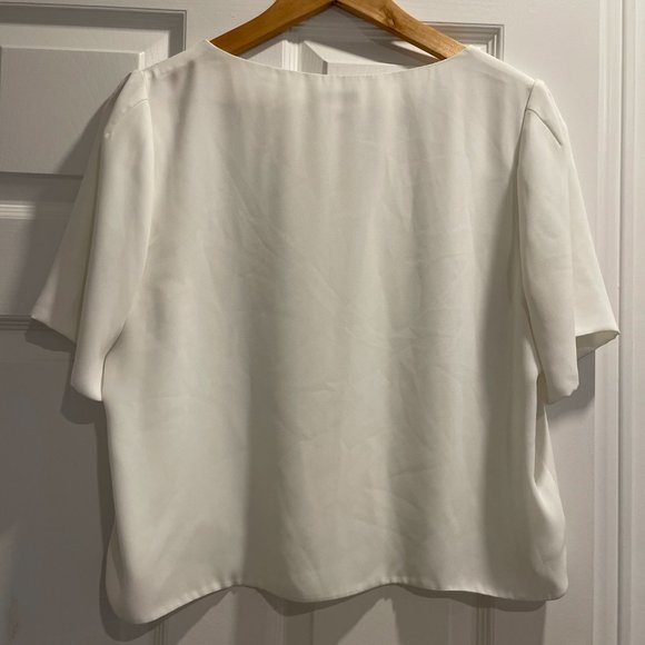 White blouse from Babaton (Aritzia) - Picture 3 of 3